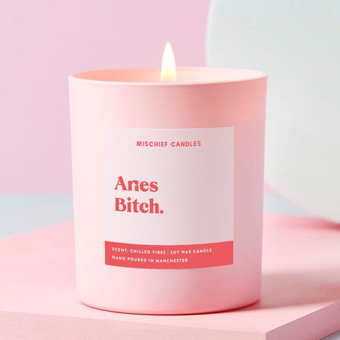 Aries Birthday Gift Funny Zodiac Candle Aries Bitch