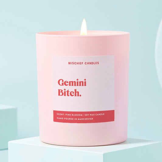 Gemini Birthday Gift Funny Zodiac Candle Gemini Bitch Candle Only - Candles