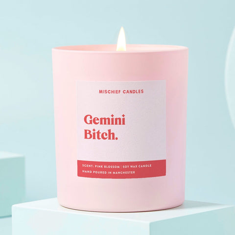 Gemini Birthday Gift Funny Zodiac Candle Gemini Bitch