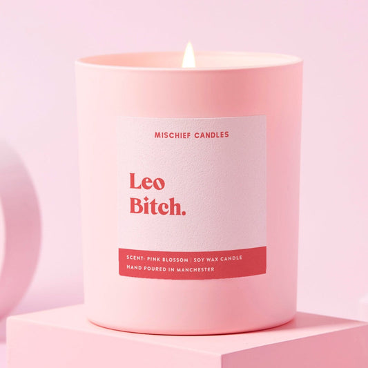 Leo Birthday Gift Funny Zodiac Birthday Candle Leo Bitch Candle Only - Candles
