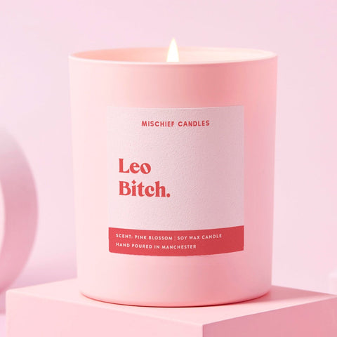 Leo Birthday Gift Funny Zodiac Birthday Candle Leo Bitch