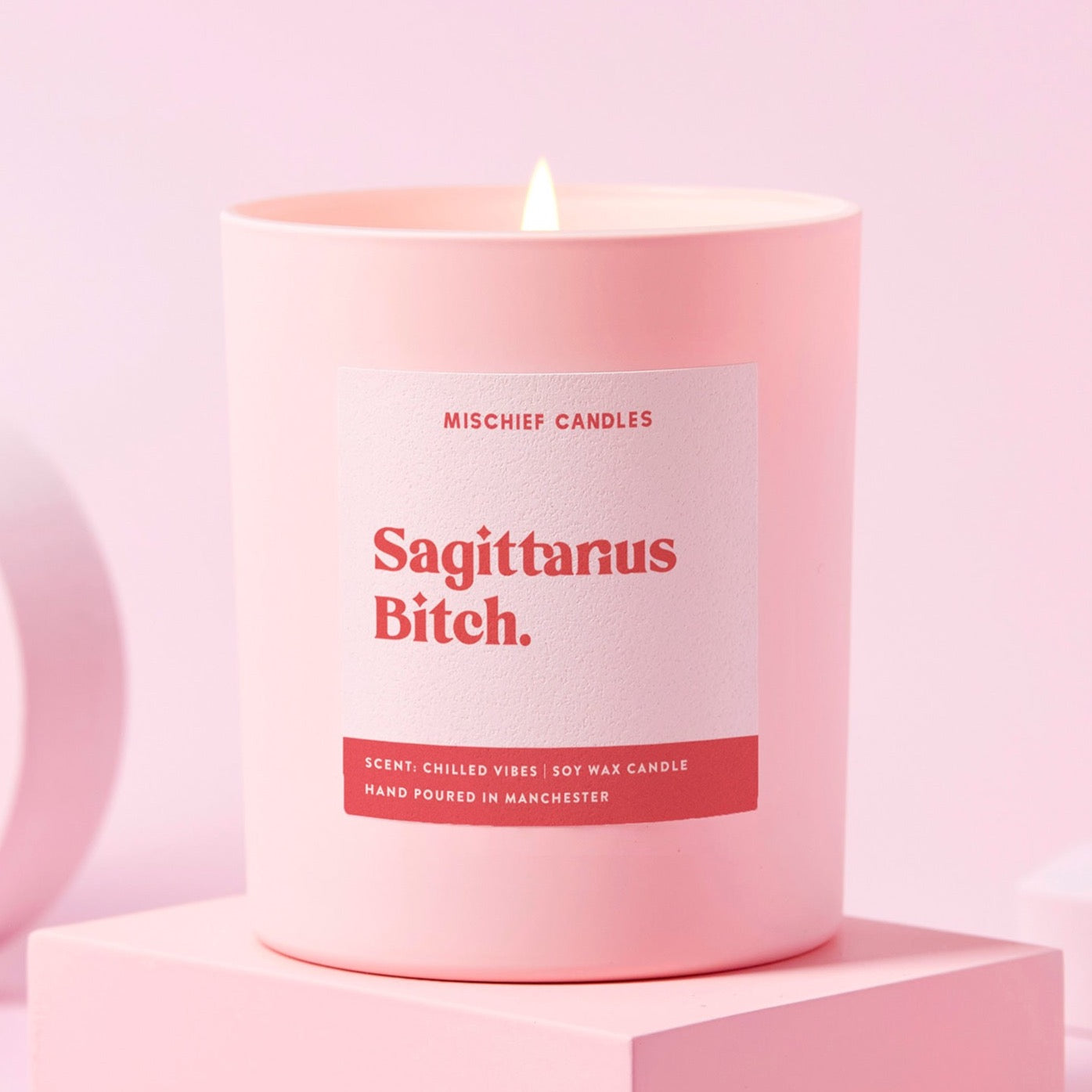 Sagittarius Birthday Gift Funny Zodiac Candle Sagittarius Bitch Candle Only - Candles
