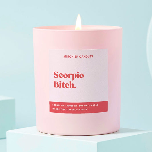Scorpio Birthday Gift Funny Zodiac Candle Scorpio Bitch Candle Only - Candles