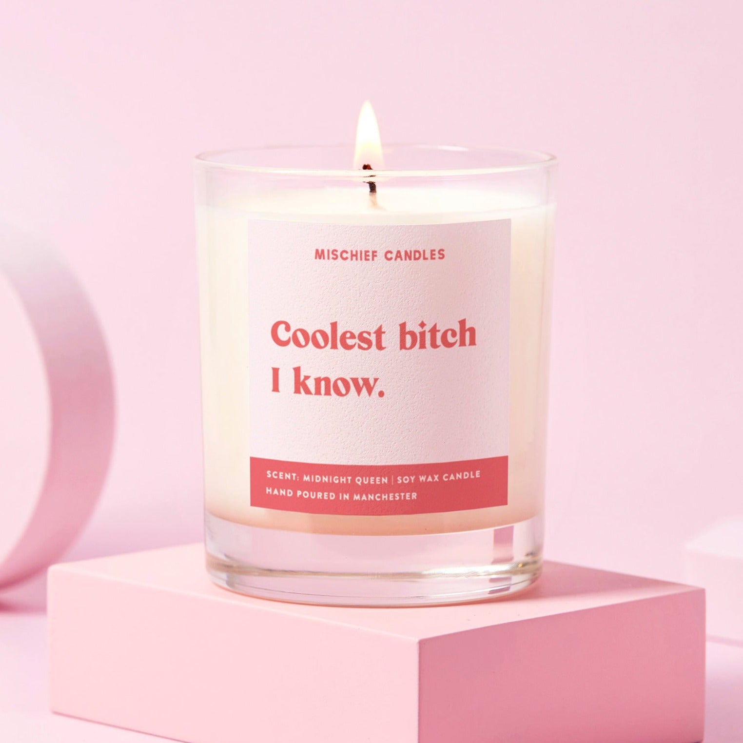Friendship Gift Funny Gift For Her Candle Coolest Bitch I Know - Candles