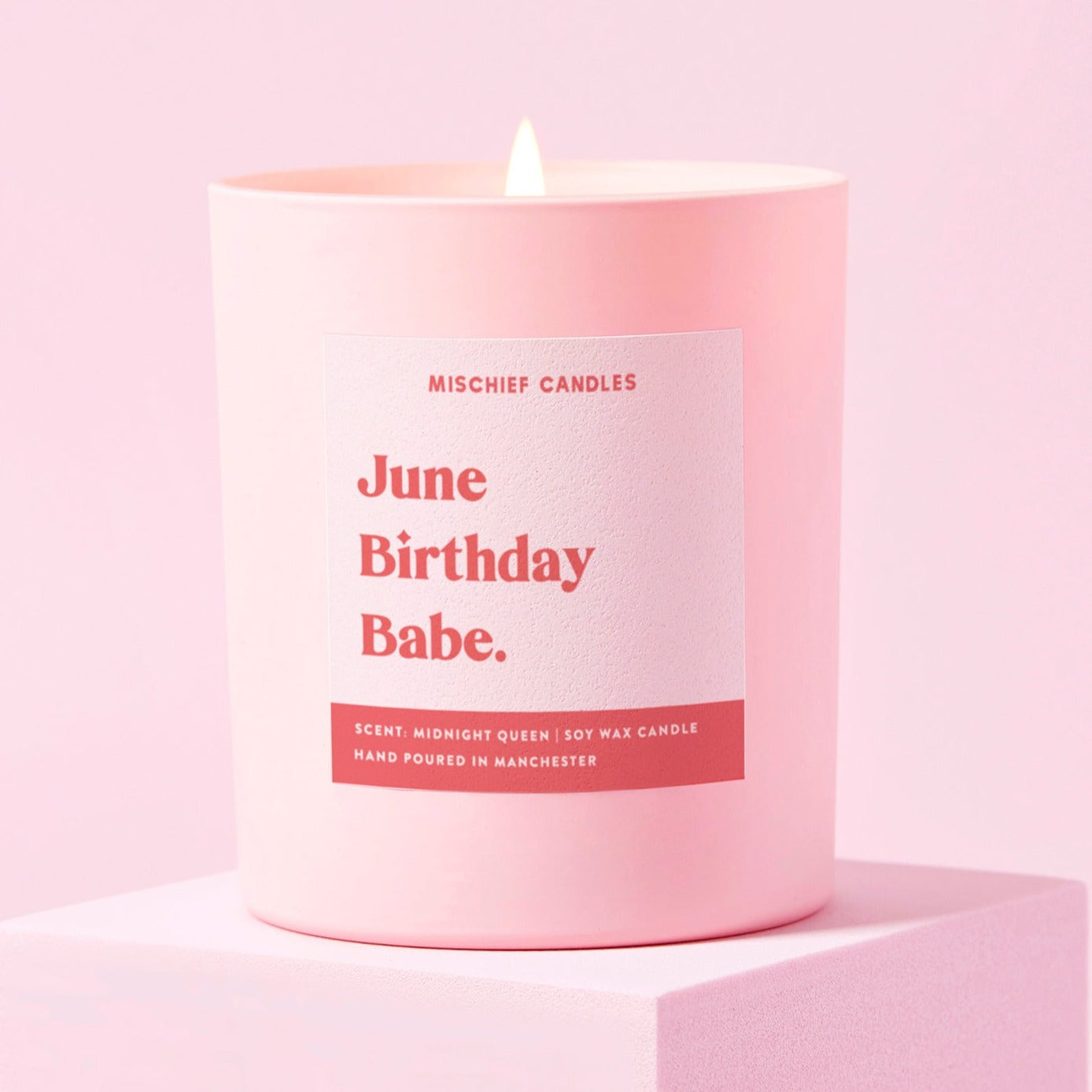 June Birthday Gift Funny Gift Candle June Birthday Babe Candle Only - Candles