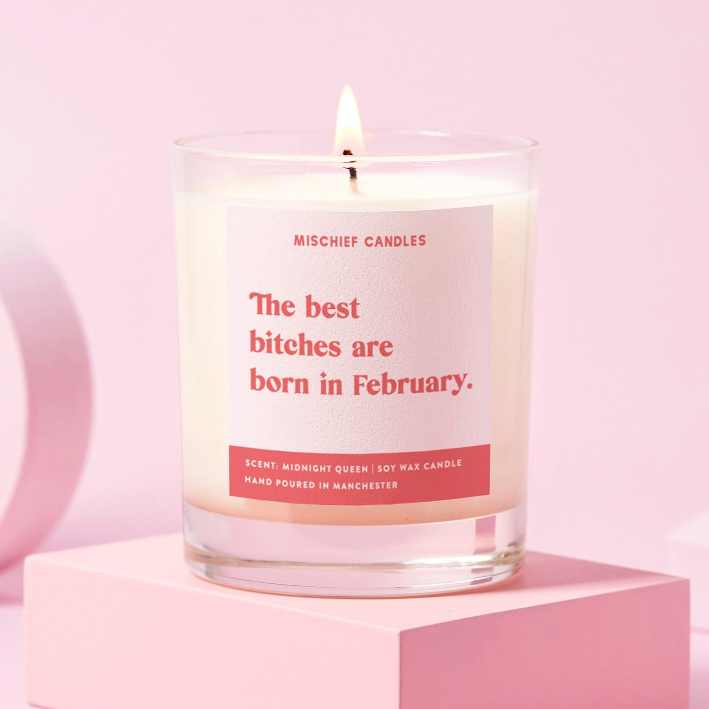 February Birthday Gift Funny Birthday Gift Candle February Birthday Bitch - Candles