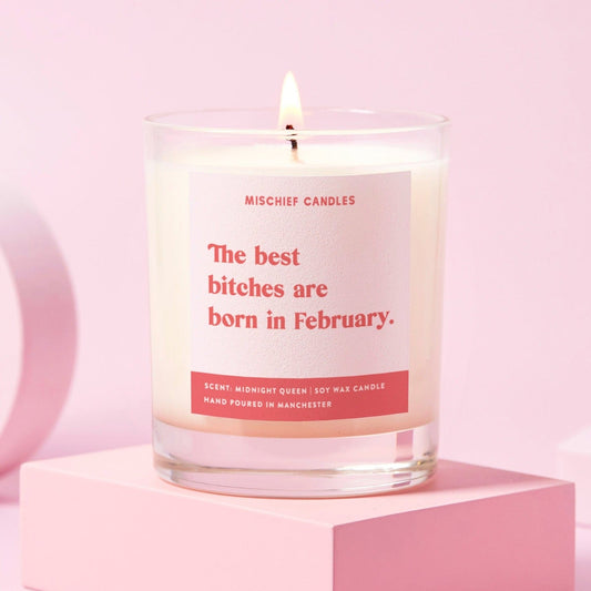 February Birthday Gift Funny Birthday Gift Candle February Birthday Bitch - Candles