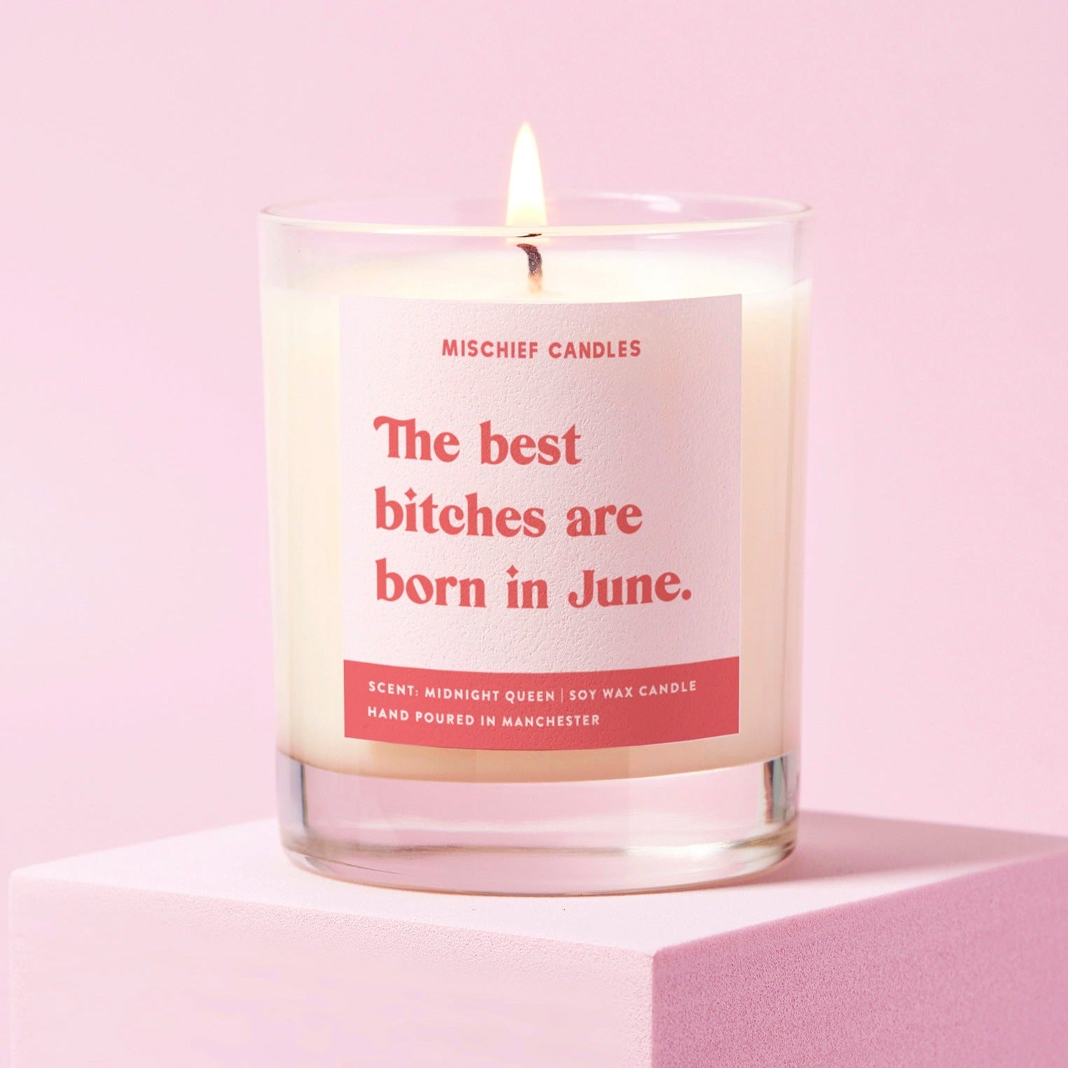 June Birthday Gift Funny Birthday Gift Candle June Birthday Bitch - Candles