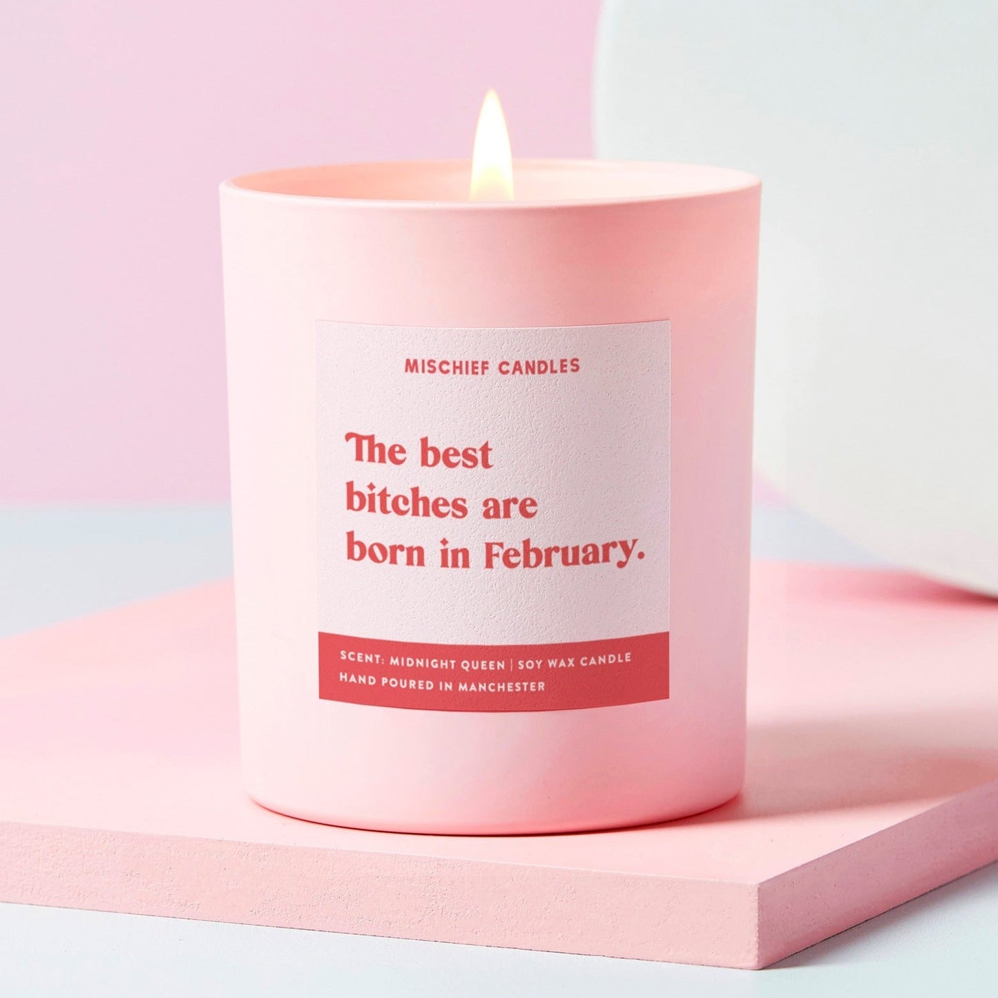 February Birthday Gift Funny Birthday Gift Candle February Birthday Bitch Candle Only - Candles