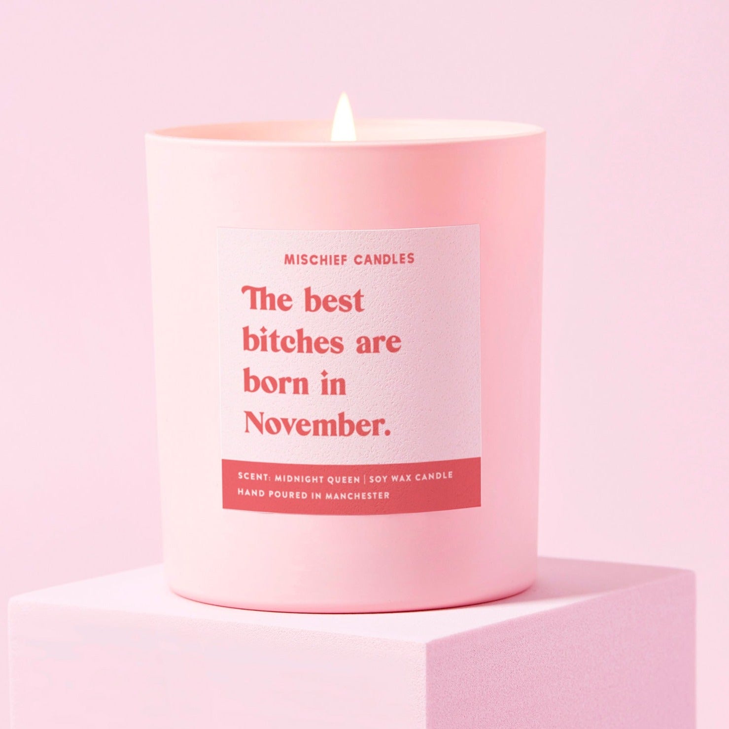 November Birthday Gift Funny Birthday Gift Candle November Birthday Bitch Candle Only - Candles