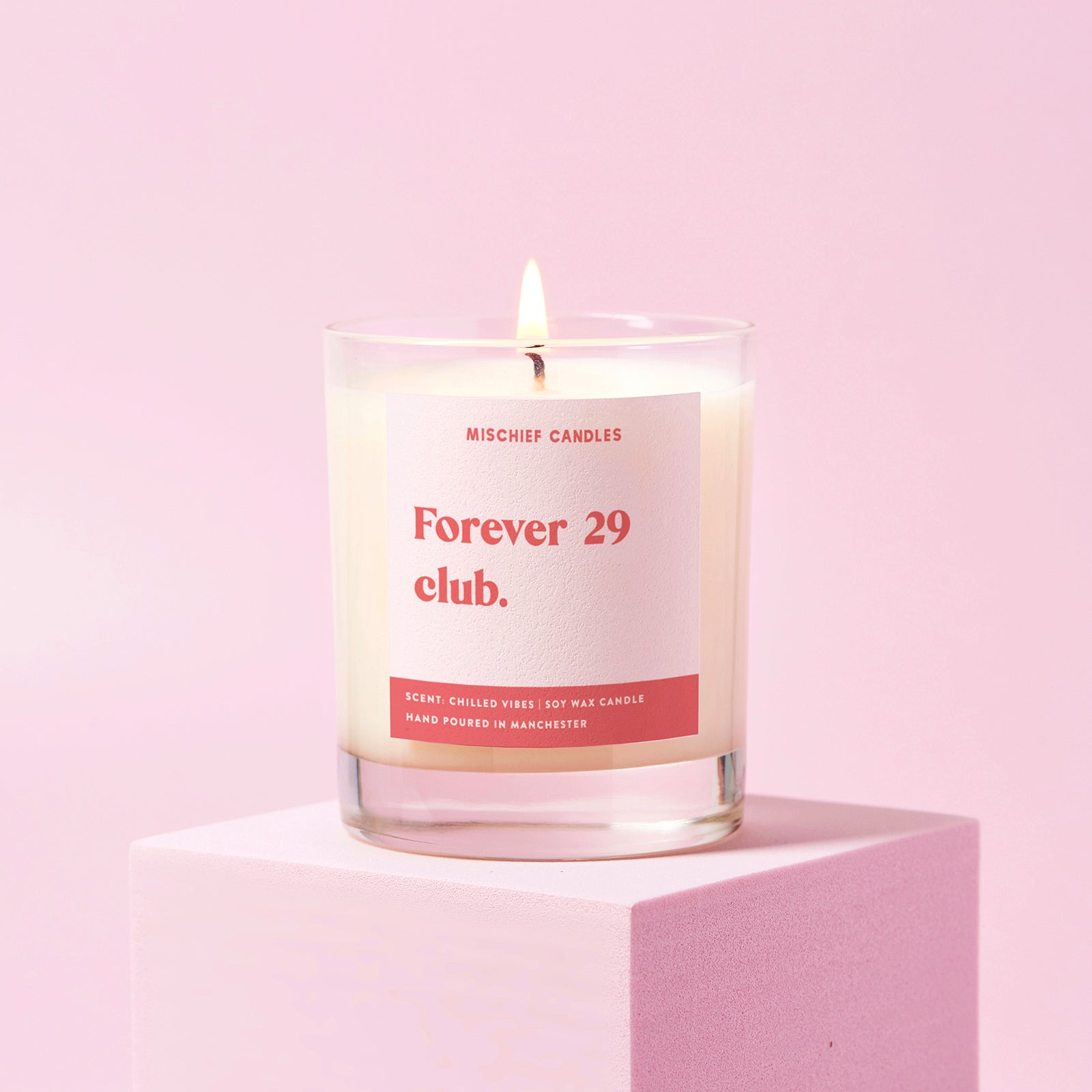 Funny 30th Birthday Gift Soy Wax Candle Forever 29 Club - Candles