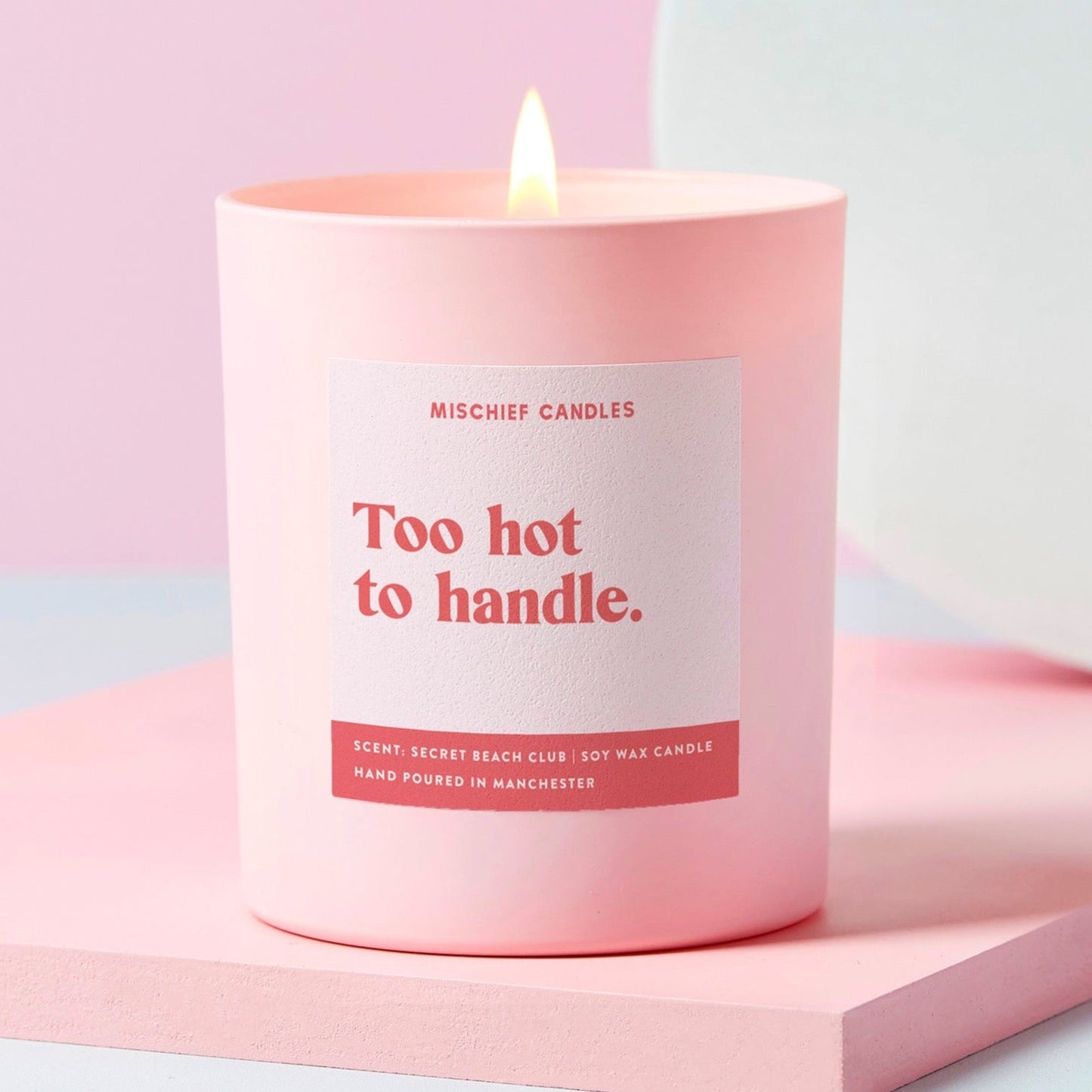 Too Hot to Handle Funny Friendship Gift Funny Candle Candle Only - Candles