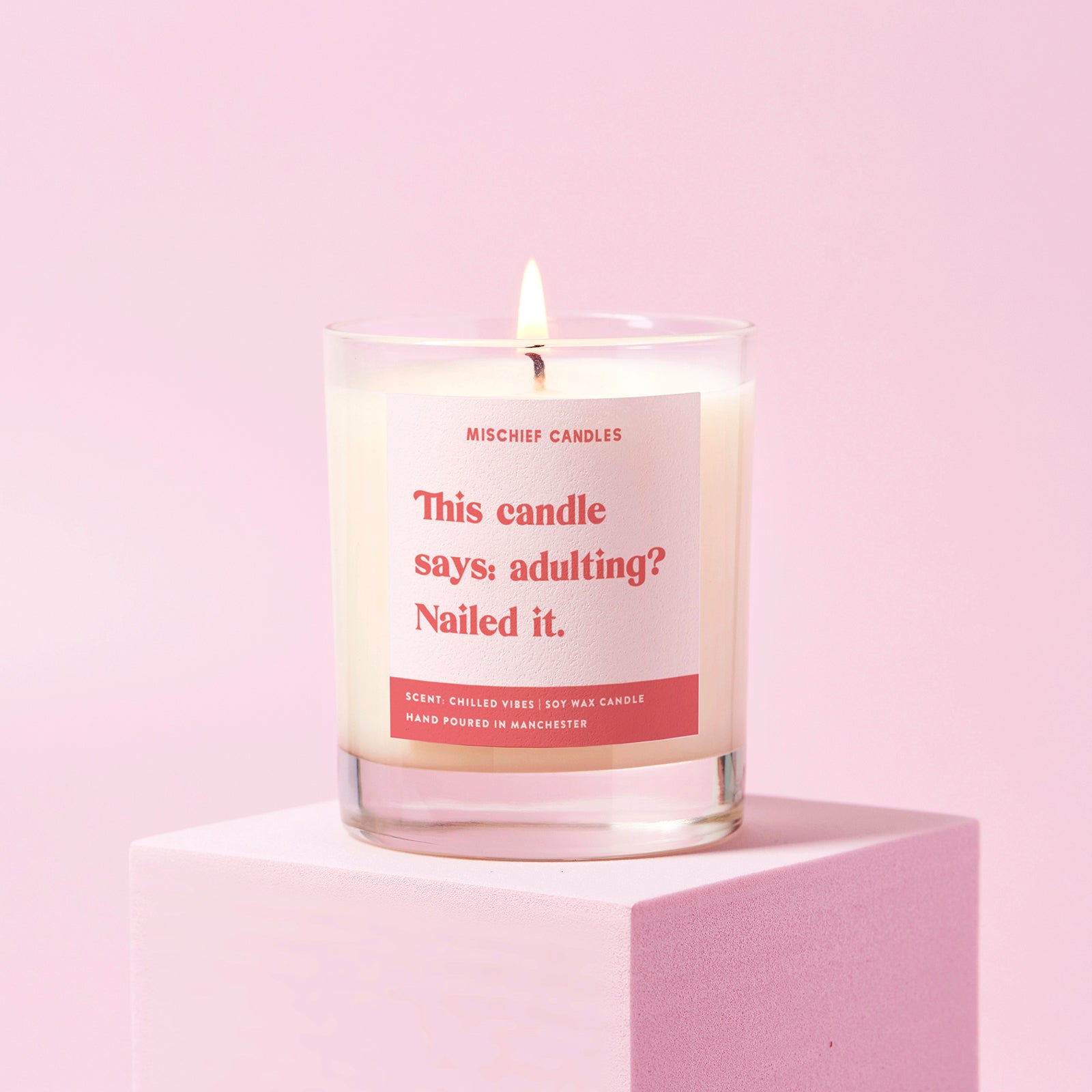 New Home Gift Funny Friend Gift Soy Wax Candle Adulting Nailed It - Candles