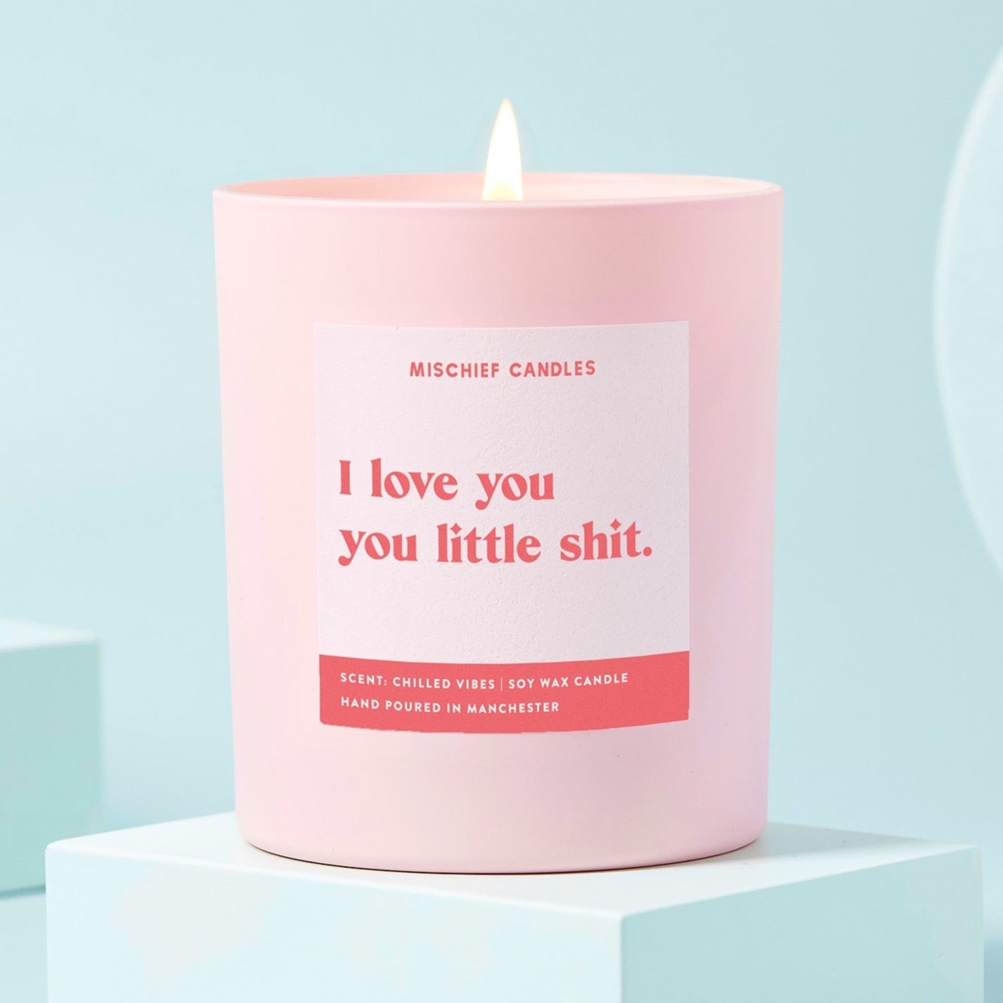 Girlfriend Boyfriend Gift Love You Little Shit Funny Candle Candle Only - Candles