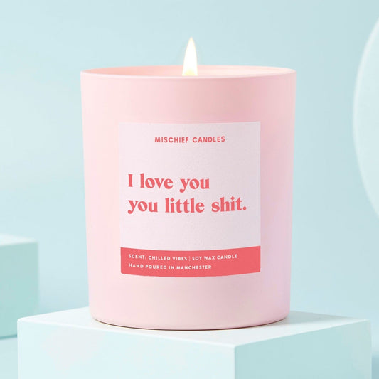 Girlfriend Boyfriend Gift Love You Little Shit Funny Candle Candle Only - Candles