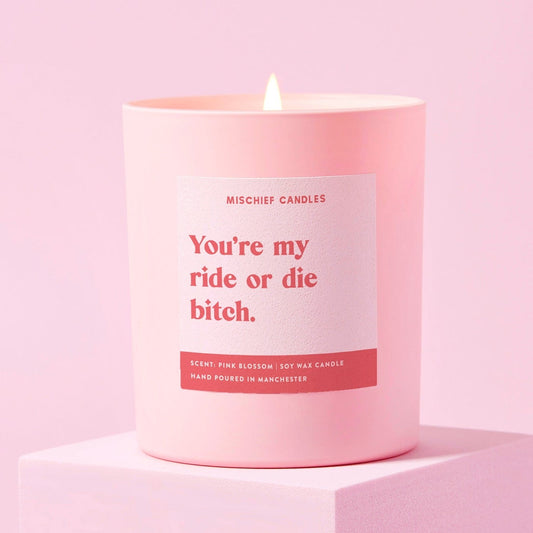 Ride or Die Bitch Friendship Gift For Her Funny Candle Candle Only - Candles