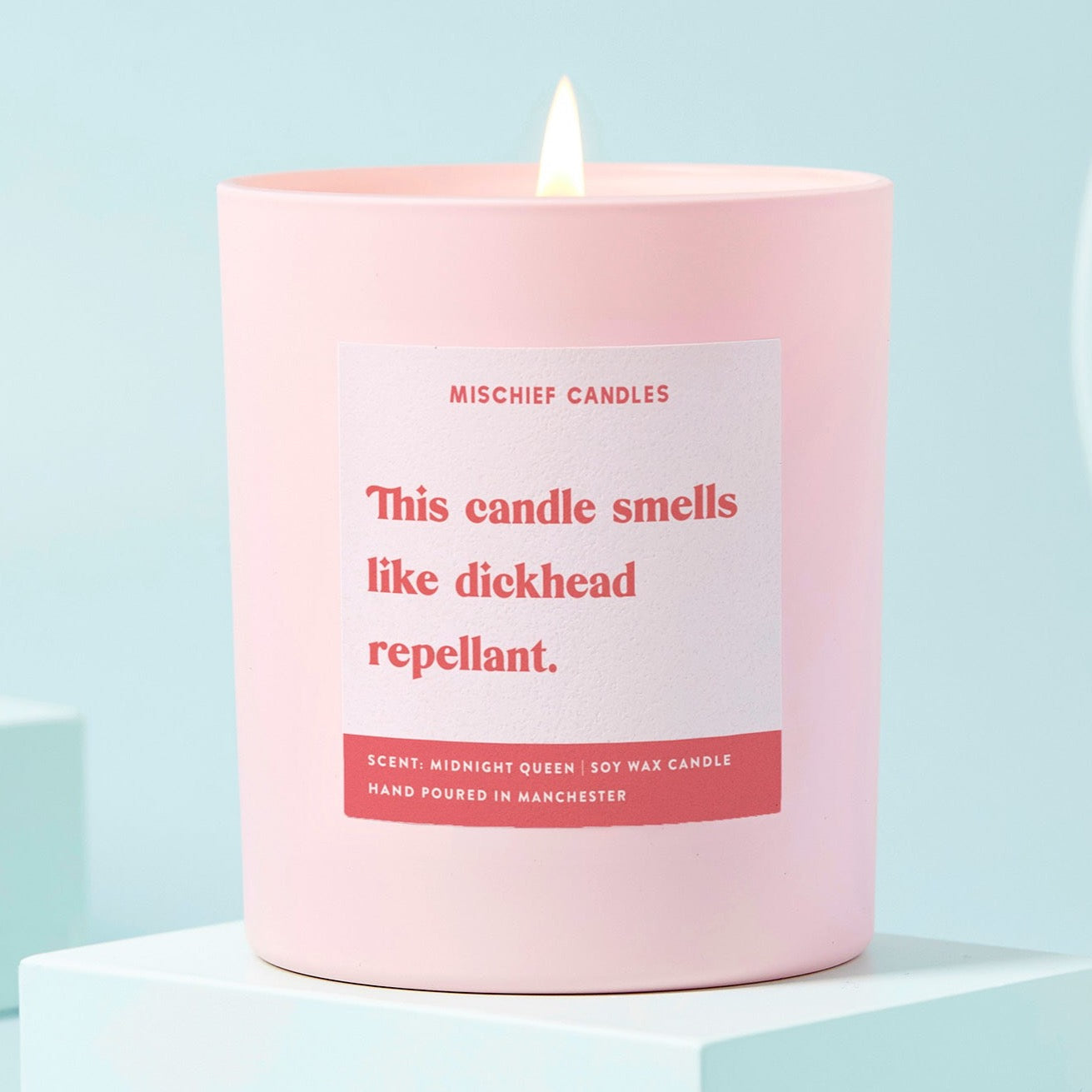 Funny Dickhead Repellant Friendship Gift For Her Funny Candle Candle Only - Candles