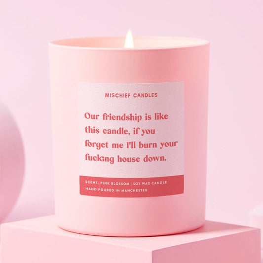 Best Friend Funny Burn House Down Gift For Her Funny Candle Candle Only - Candles