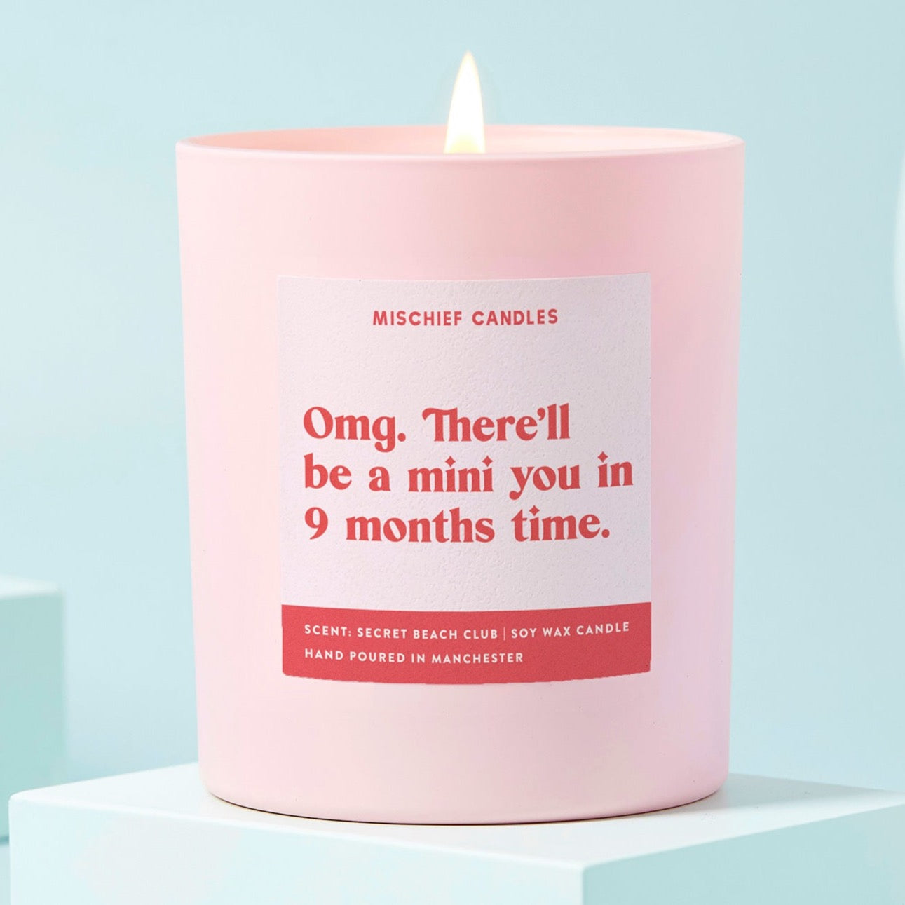 Baby Shower Gift New Baby Candle A Mini You in 9 Months Candle Only - Candles