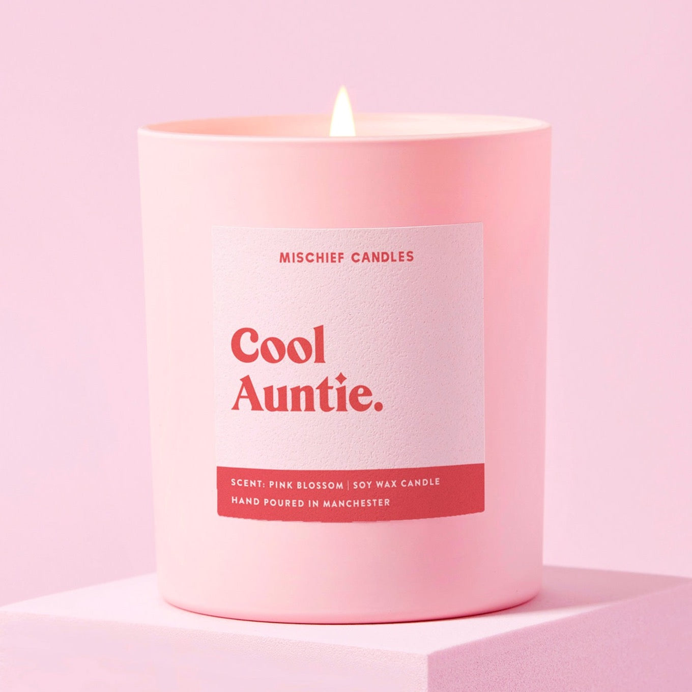Auntie Gift Funny Auntie to Be Gift Candle Cool Auntie Candle Only - Candles