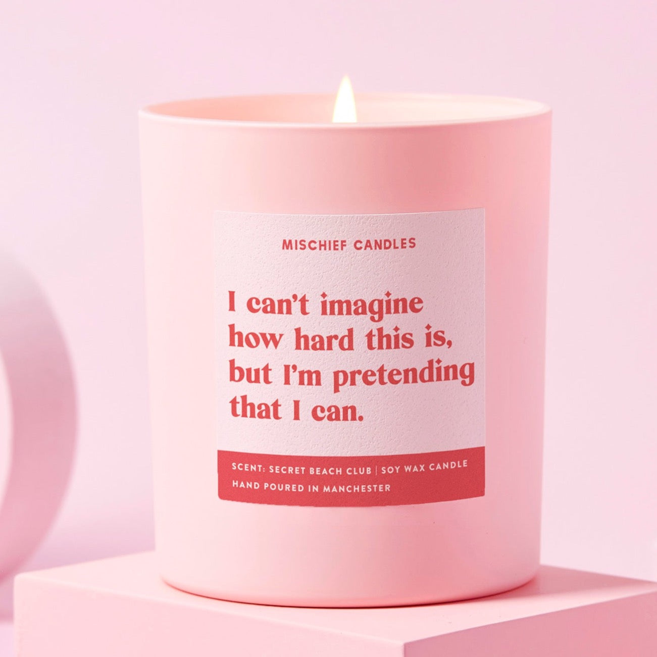 Thinking of You Gift Funny Candle Pretending I Understand Candle Only - Candles