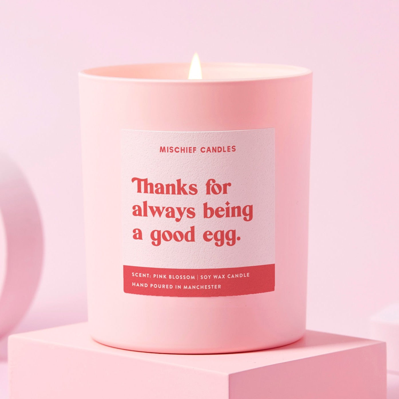 Thank You Gift Funny Soy Wax Candle Good Egg Candle Only - Candles