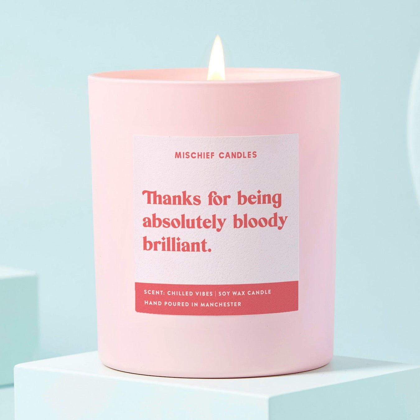 Thank You Gift Funny Candle Absolutely Bloody Brilliant Candle Only - Candles