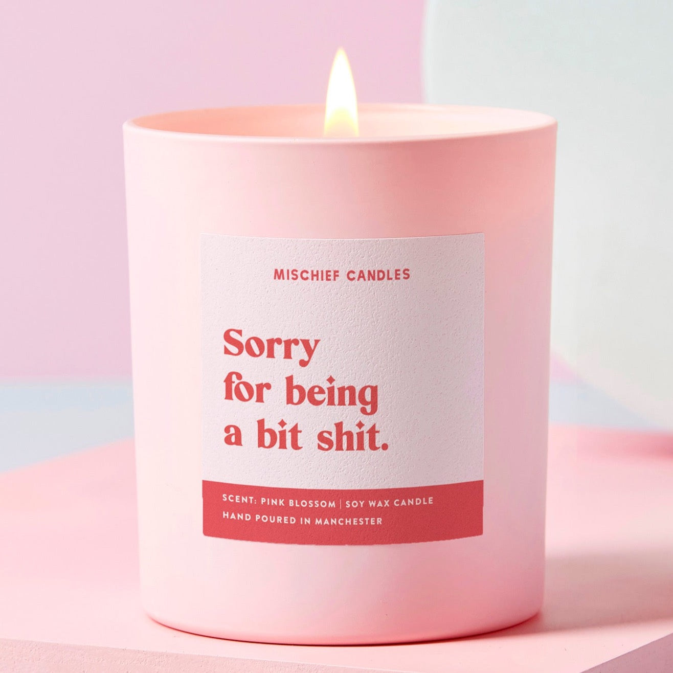 Sorry Gift Funny Soy Wax Candle Sorry for Being Shit Candle Only - Candles