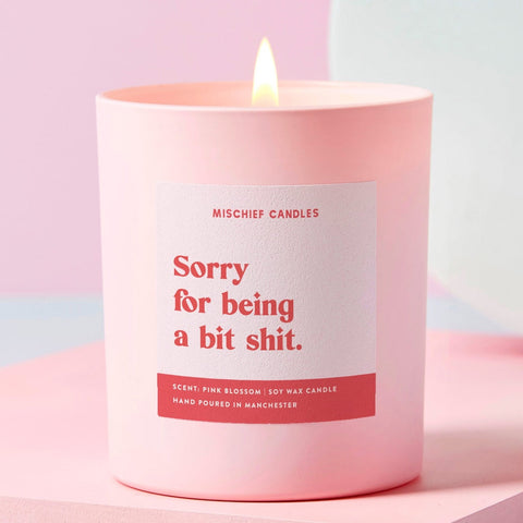 Sorry Gift Funny Soy Wax Candle Sorry for Being Shit