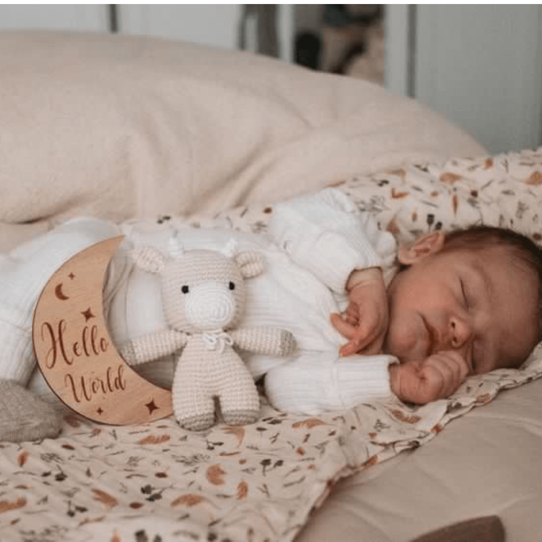 Wooden Month-by-Month Baby Milestone Set - Baby & Toddler