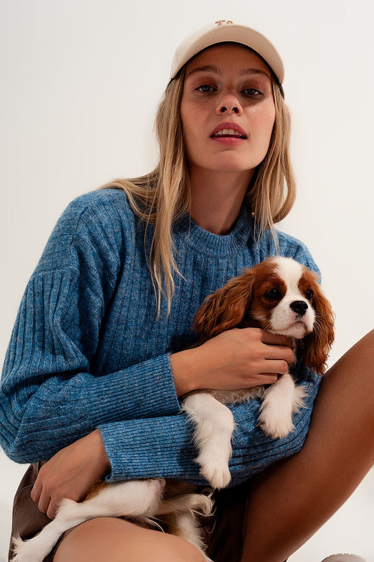 Boxy chunky stitch sweater in blue - Jumpers