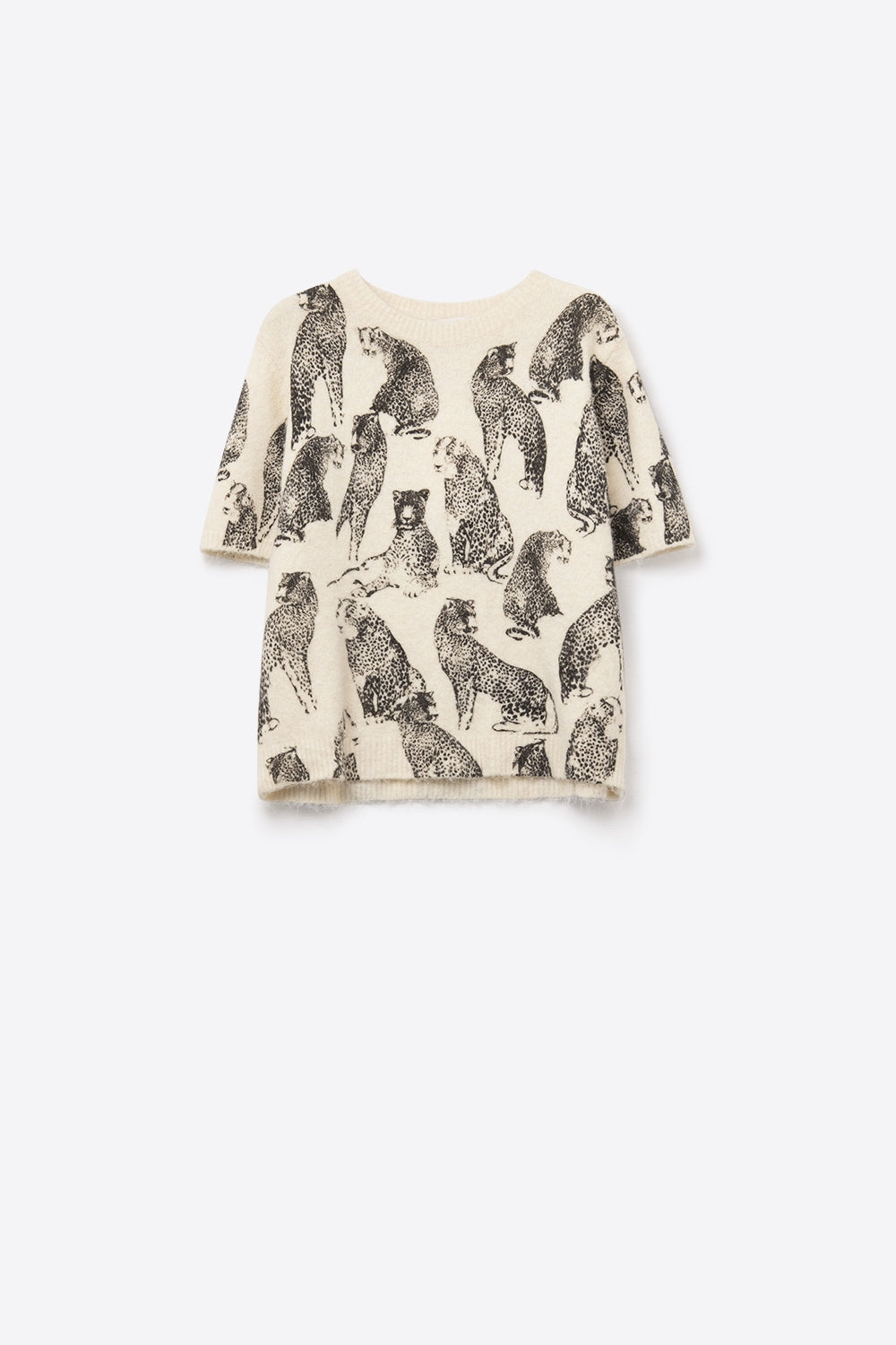 Chic Cream Animal-Print Short-Sleeve Sweater - Sweaters