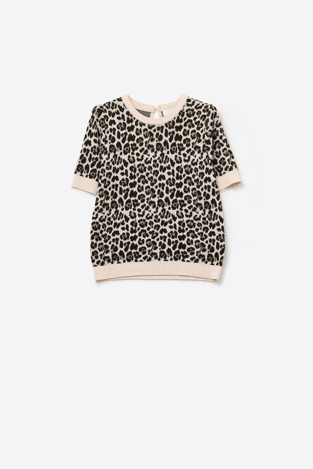 Chic Short Sleeve Leopard Print Sweater - Sweaters