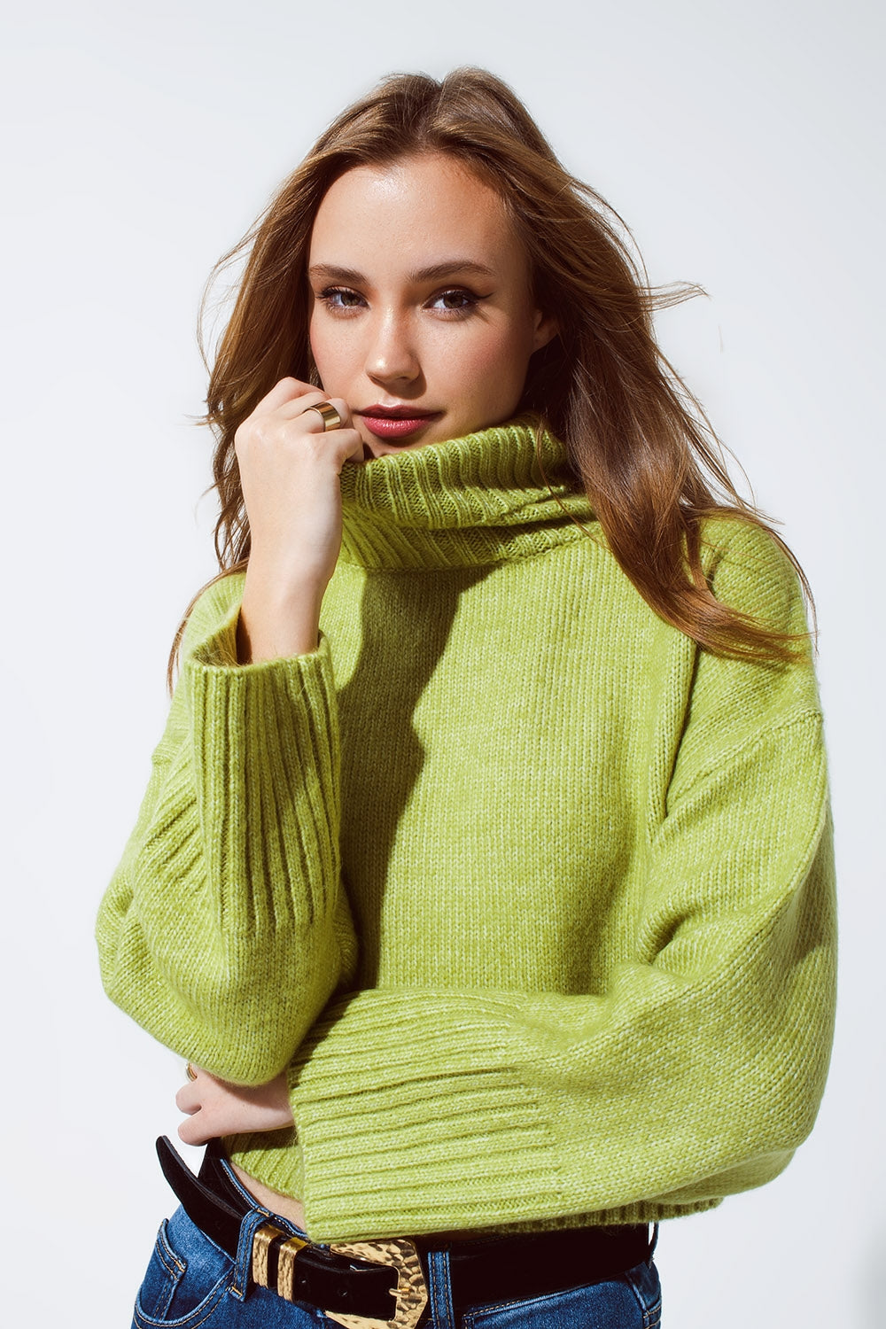 Cropped Chunky Knit Sweater With Turtle Neck in Green - Jumpers