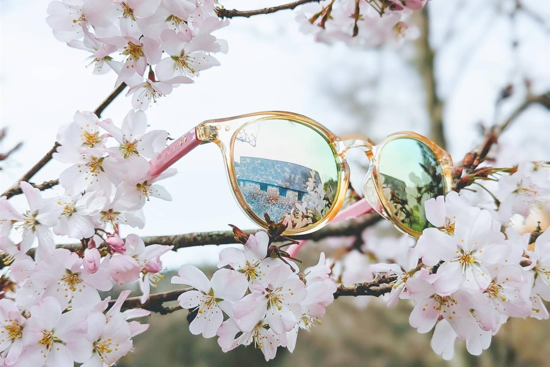 Luma Sunglasses - Fowey - Pink - Clothing