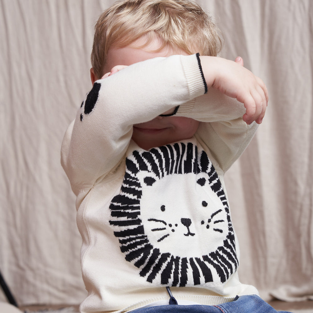 Pull Le Roi Lion Fable et Ours pour Bébé Enfant