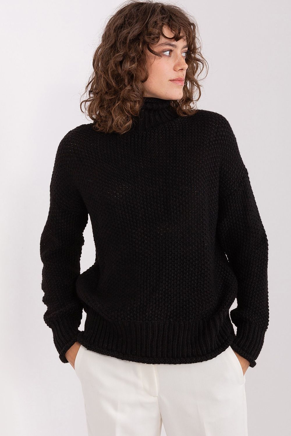 Ladies Casual Turtleneck Pullover Sweater black one-size-fits-all - Sweaters