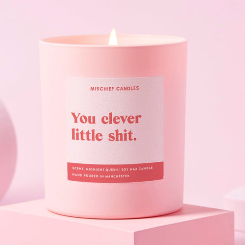 Well Done Gift Funny Candle Clever Little Shit