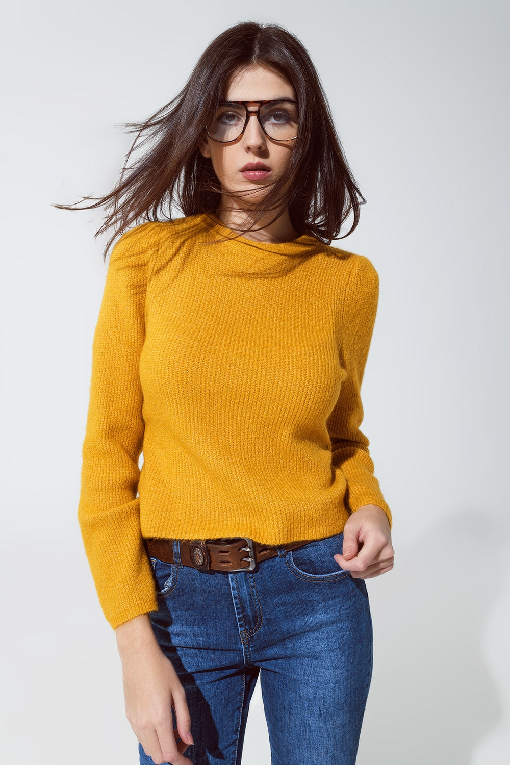 Round neck chunky ribbed jumper in mustard - Jumpers
