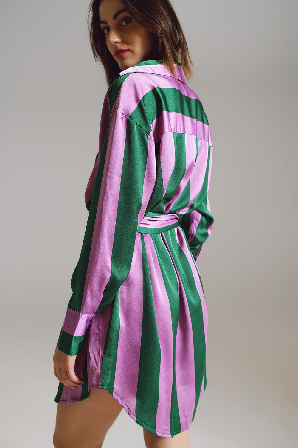 Short Shirt Dress in Lilac and Green Stripe - Dresses